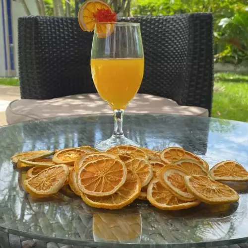 Naranja Deshidratada para Coctelería, sodas, Limonadas