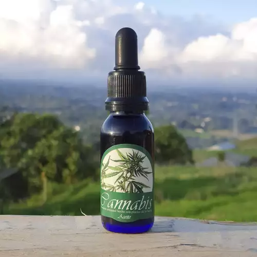 Oleato de cannabis natural para dolores y relajación