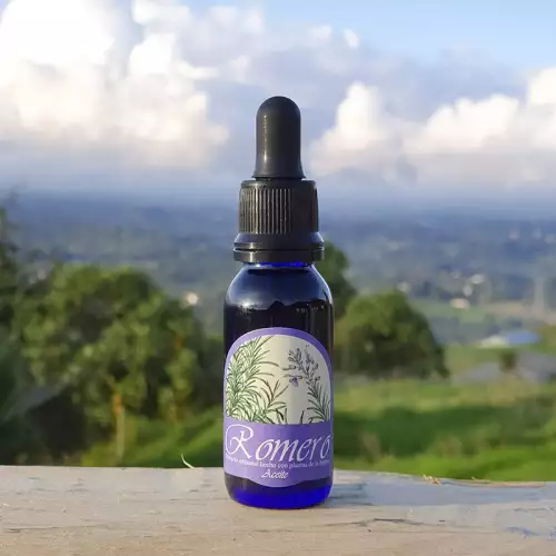Oleato de romero natural para cabello y masajes corporales