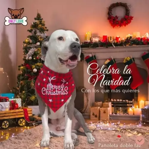 Pañoleta Navideña para mascotas