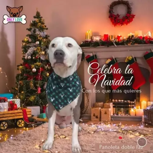 Pañoleta Navideña para mascotas