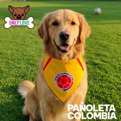 Pañoleta para perro o gato de selección Colombia 2026
