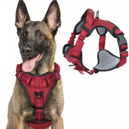 Pechera Absorción De Impactos Amortiguación Talla L