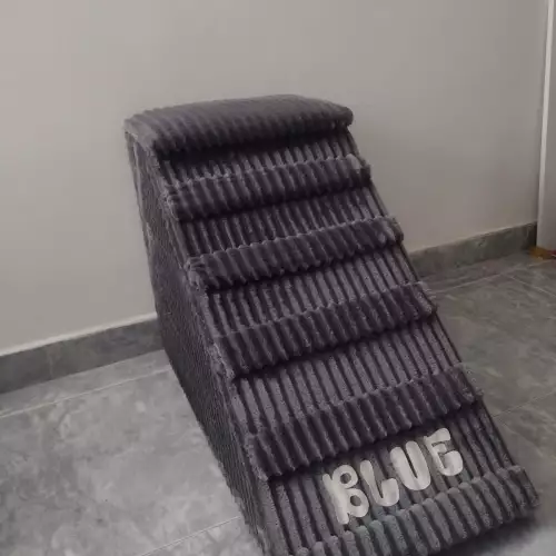 Rampa acolchada para perros 50 cm personalizada y ajustable