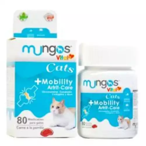 Suplemento articular para gatos con glucosamina