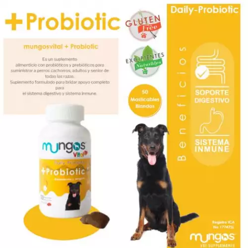 Suplemento probiótico vital para perros y gatos