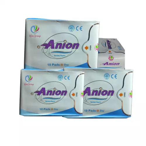 TOALLAS DIA CON ANION DE WINALITE