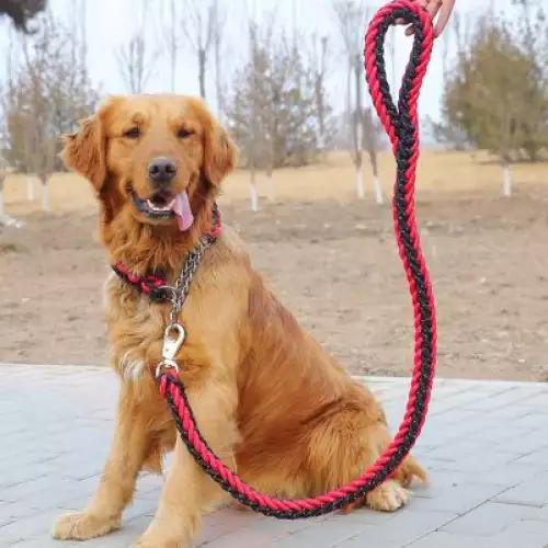 Traílla collar de ahogo trenzado para perros