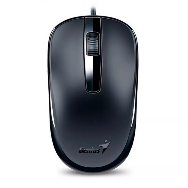 Mouse Genius DX-120 USB Alambrico Negro