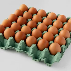 Huevo Tipo AAA 100% Huevos Pet x 30 und