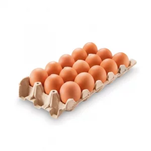 Huevos Tipo A Vigor x 15 und