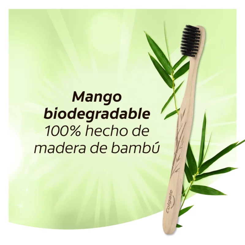 Vaso Cepillo Dental Línea Bambú