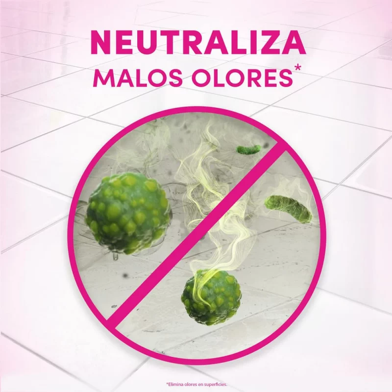 Fabuloso Violeta x 5000 ml