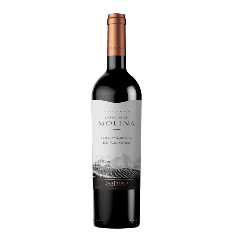 Vino Castillo De Molina 750 ml Cabernet Sauvignon