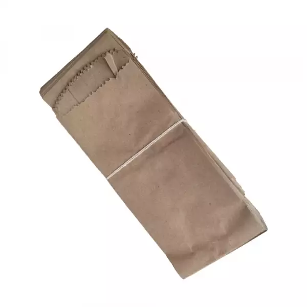 BOLSA PAPEL 1 L ITRO X100U