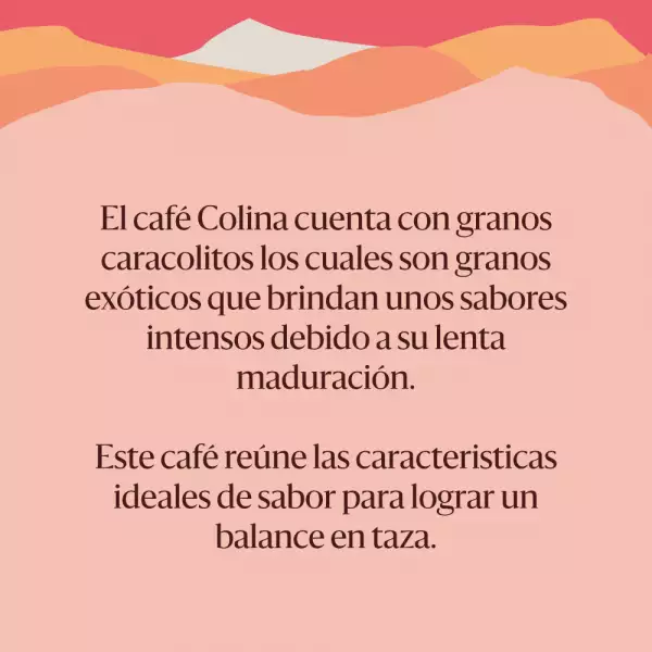 CAFÉ TOSTADO JUAN VALDEZ COLINA X340g