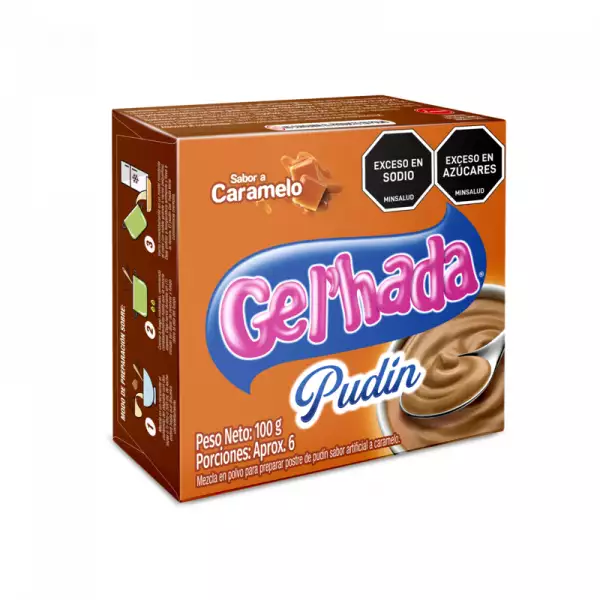 PUDIN GELHADA CARAMELO X100g