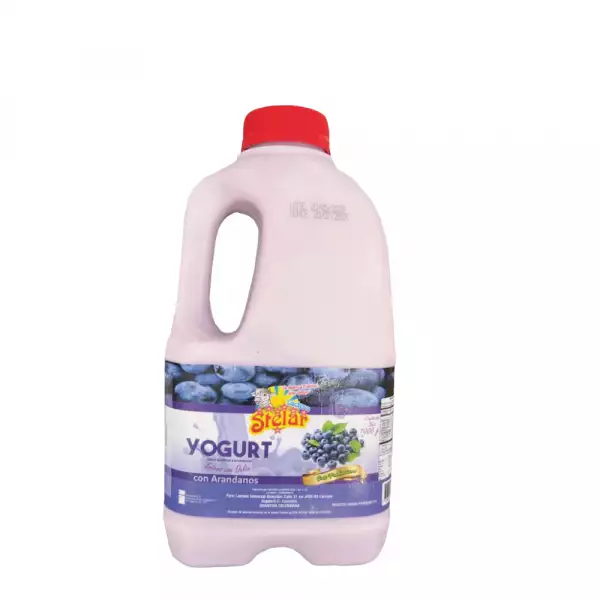 YOGURT STELAR GARRAFA ARANDANOS X1000ml