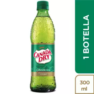 *GASEOSA CANADA DRY GINGER X300mlt