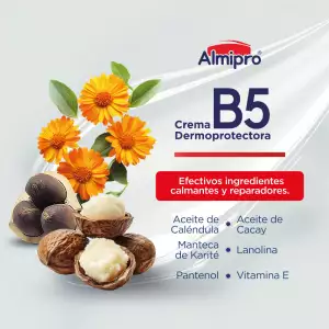 ALMIPRO B5 DERMOPROTECTORA X100g