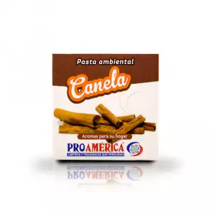 AMBIENTADOR PROAMÉRICA PASTA CANELA X30g
