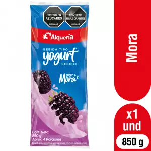 BEBIDA TIPO YOGURT ALQUERIA MORA BOLSA X850g