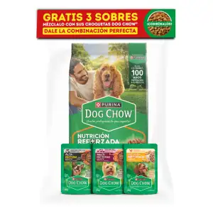 DOG CHOW CROQUETAS X2000g GTS POUCH