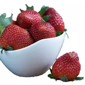 FRESA ZAPATOCA