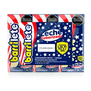 LECHE SABORIZADA BARRILETE CJ X6 X200ml