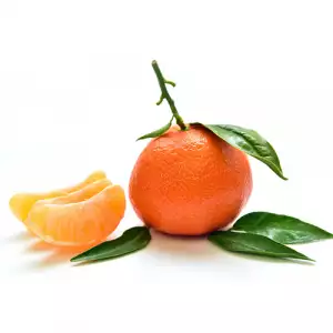 MANDARINA SANTANDEREANA ZAPATOCA