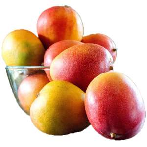 MANGO DE AZUCAR ZAPATOCA x 500 gr Mercado Zapatoca