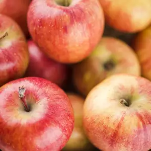 MANZANA DE AGUA ZAPATOCA