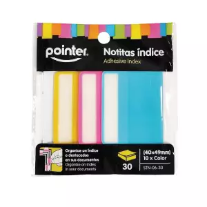 NOTAS BANDERITAS POINTER SURT X30u