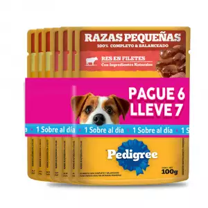 PEDIGREE POUCH SURT X100g PG6 LL7