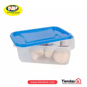 RECIPIENTE NOVEDADES PLASTICAS STAR RECTANGULAR X1000ml