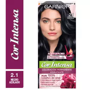 TINTE GARNIER NUTRISSE COR INTENSA No.2.1 NEGRO AZULADO