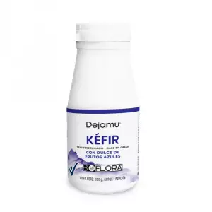 YOGURT KEFIR DEJAMU FRUTOS AZULES X200g