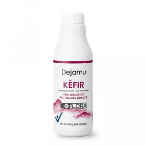 YOGURT KEFIR DEJAMU FRUTOS ROJOS X1000g