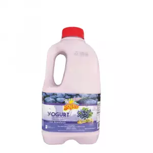 YOGURT STELAR GARRAFA ARANDANOS X1000ml