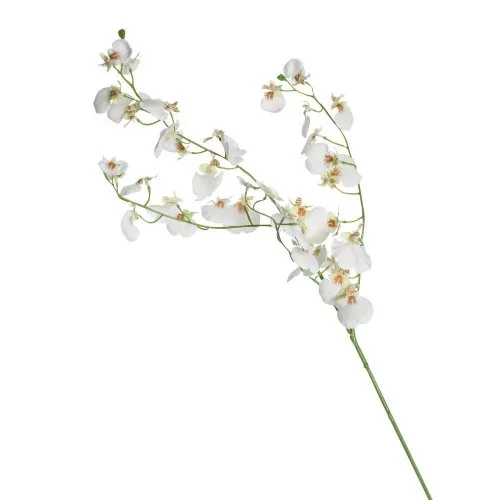 Flor Orquidea Blanca Concepts