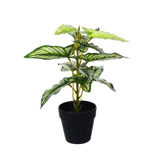 Planta Artificial Cercestis  Con Maceta Negra 33X35X35 Cm Concepts