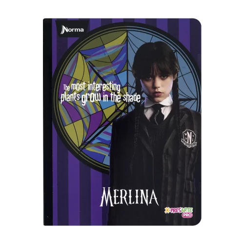 Cuaderno Cosido 50 Hojas Cuadriculado Merlina - Interesting