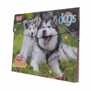 Carpeta Fuelle Carton Dogs - Forever