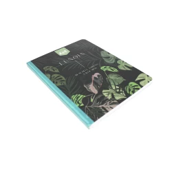 Cuaderno Cosido  100 Hojas Linea Corriente Kiut Eunoia