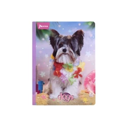 Cuaderno Cosido  50 Hojas Linea Corriente Dogs Yorkie