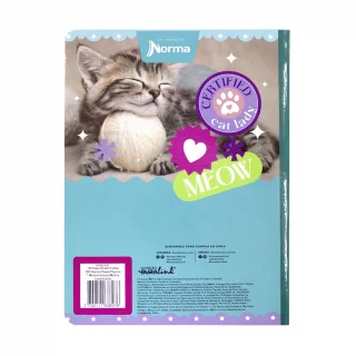 Cuaderno Cosido 100 Hojas Cuadriculado Cats Best Firend