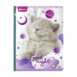 Cuaderno Cosido 100 Hojas Cuadriculado Cats Good Night