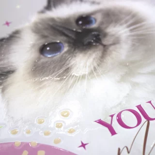 Cuaderno Cosido 100 Hojas Cuadriculado Cats You Are Magic