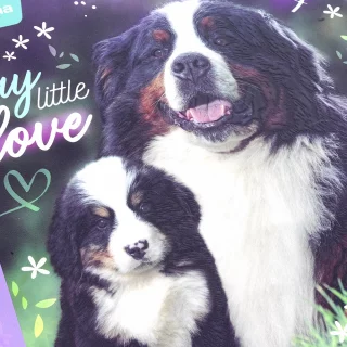 Cuaderno Cosido 100 Hojas Doble Linea Dogs