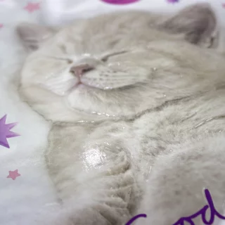 Cuaderno Cosido 100 Hojas Linea Corriente Cats Good Night